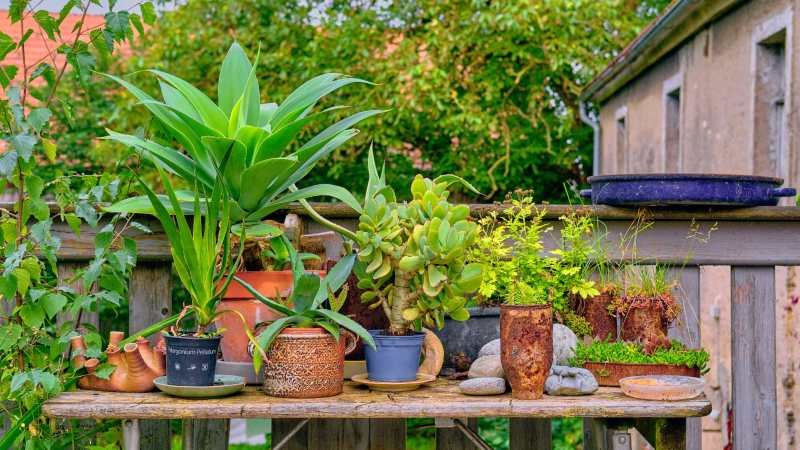 Best Garden Storage Solutions to Keep Your Outdoor Area Organized