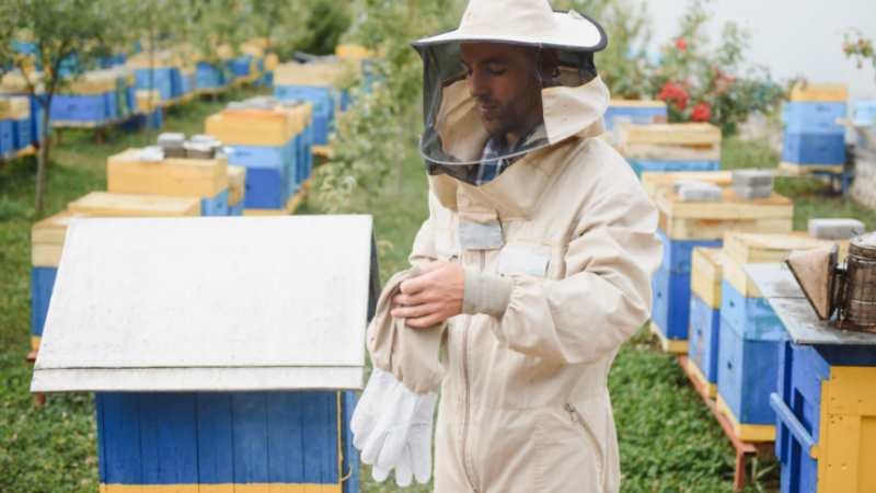 Bee Suit
