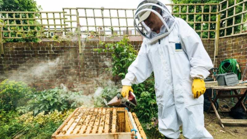 How a Quality Beekeeper Suit Supports Safe and Successful Gardening