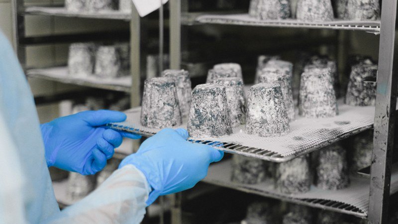 How Businesses That Handle Food at Scale Think Differently About Temperature Control and Storage