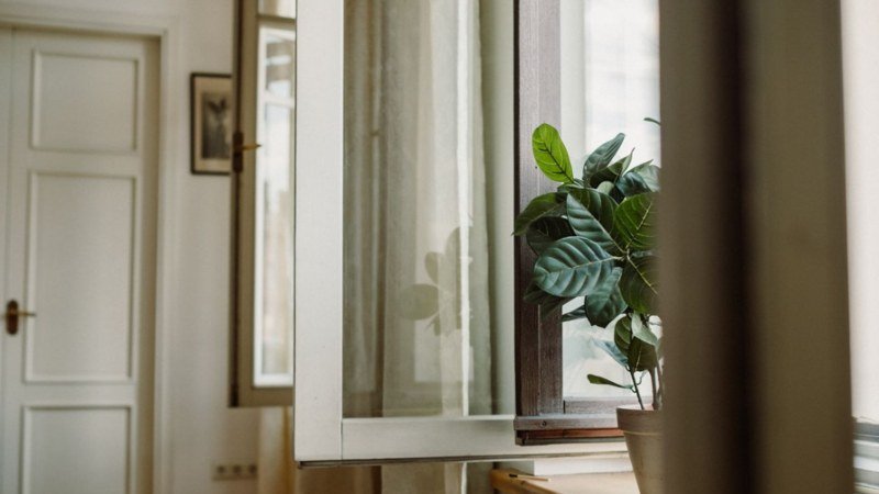 How to Improve Air Quality in a Rental Home