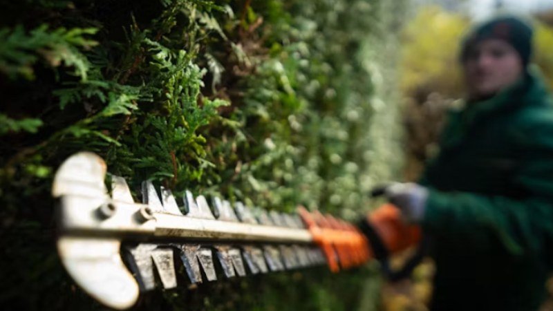6 in 1 Hedge Trimmer